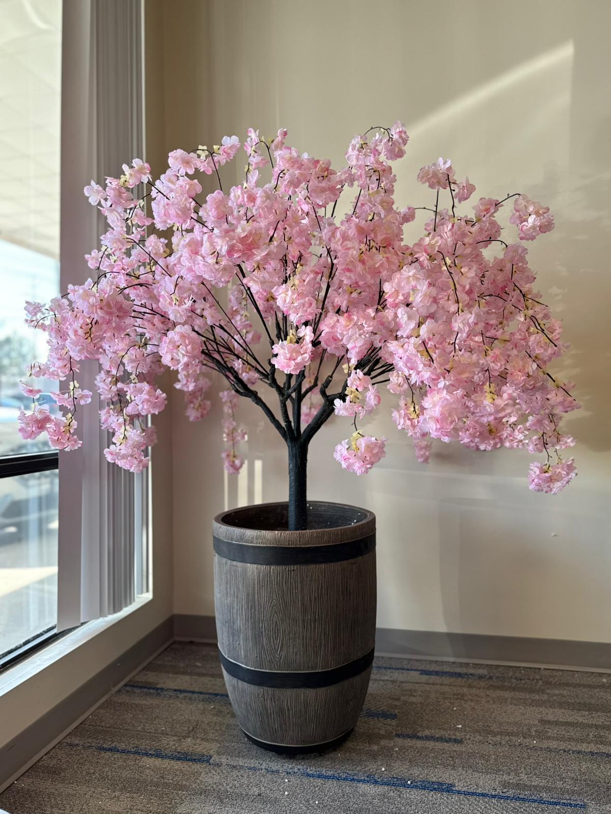 4ft Pink Weeping Cherry Blossom – Soft Elegance for Rent or Purchase