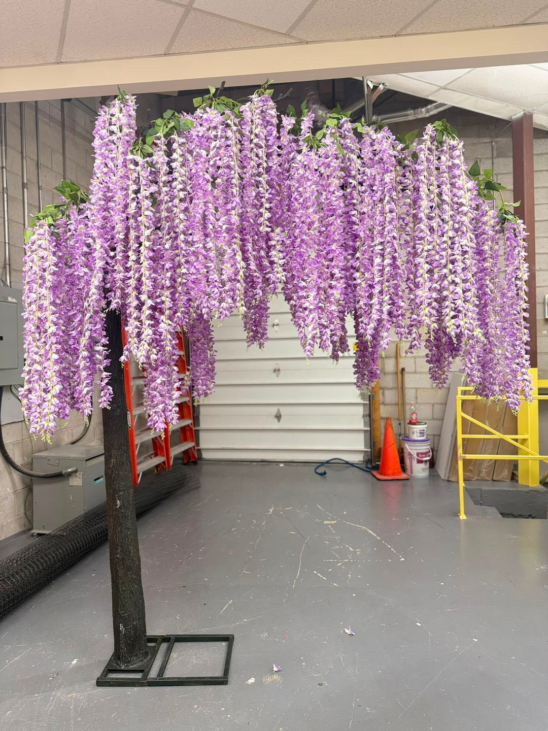 Lavender Wisteria Trees for Rent &  Purchase | Elegant Floral Décor by Waysaving