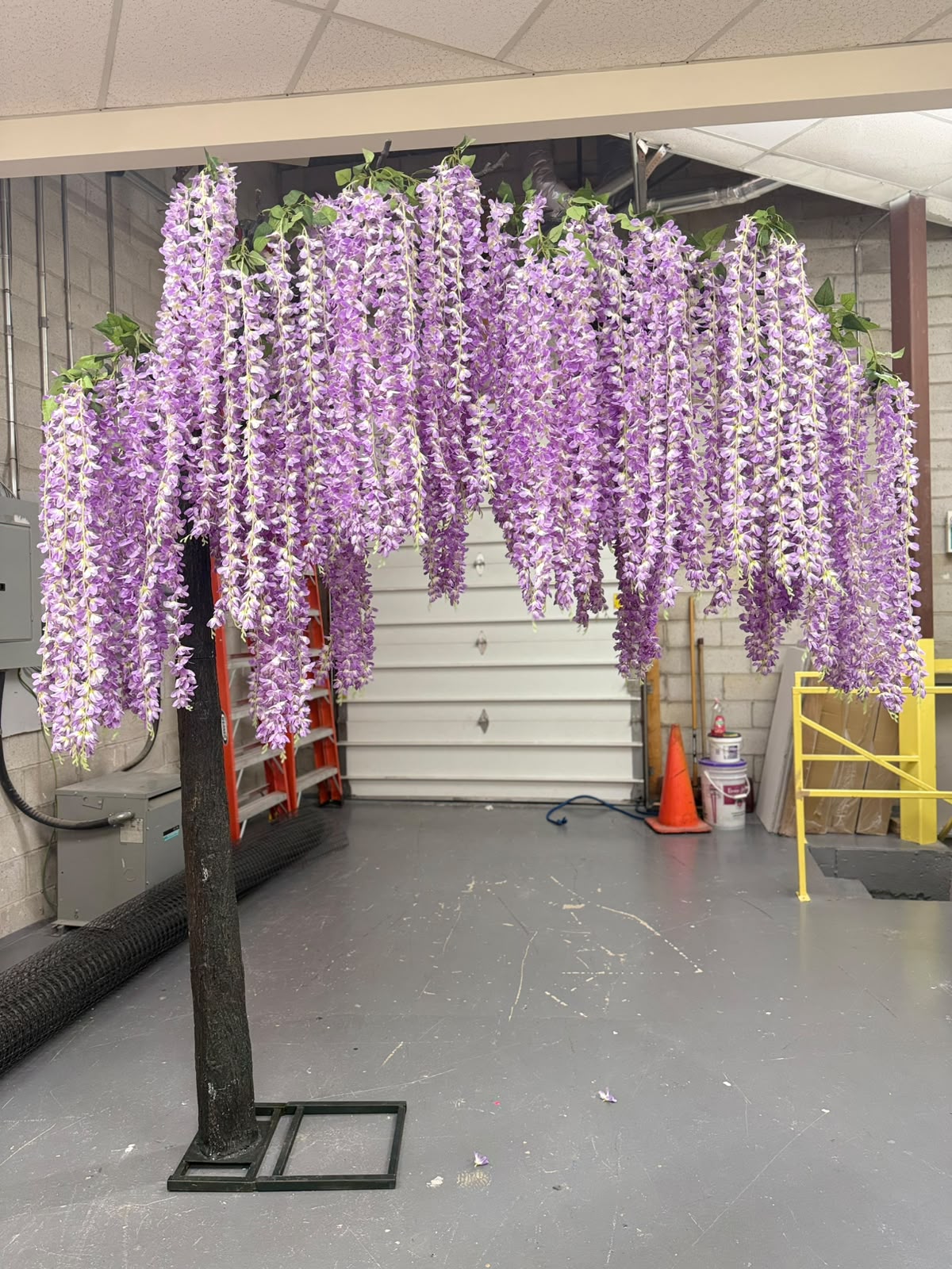 Lavender Wisteria Trees for Rent &  Purchase | Elegant Floral Décor by Waysaving