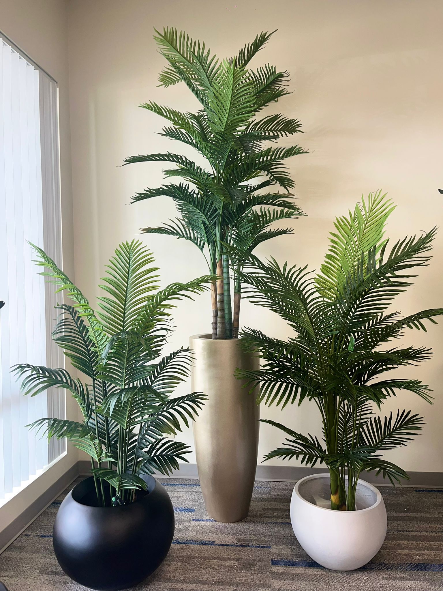 Best Ways to Style Palm Plants for Modern Interiors