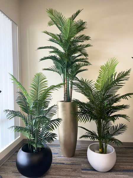 Best Ways to Style Palm Plants for Modern Interiors