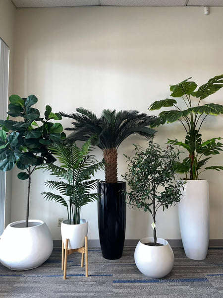 5 Myths About Artificial Plants You Should Stop Believing