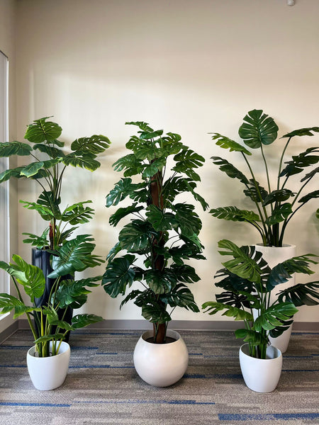 Discover the Best Faux Plants to Enhance Your Cottage Chic Home Decor