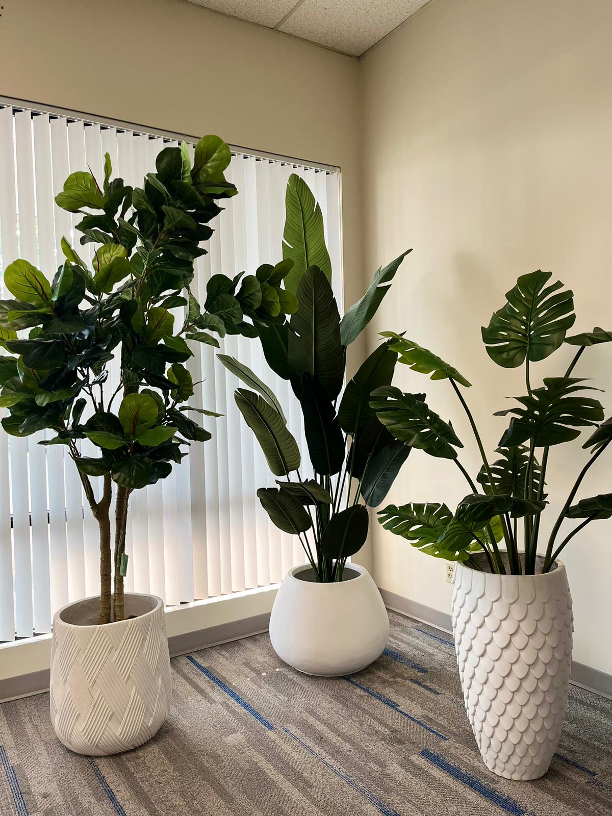 The Secret to Selecting Realistic Faux Plants for Your Workplace