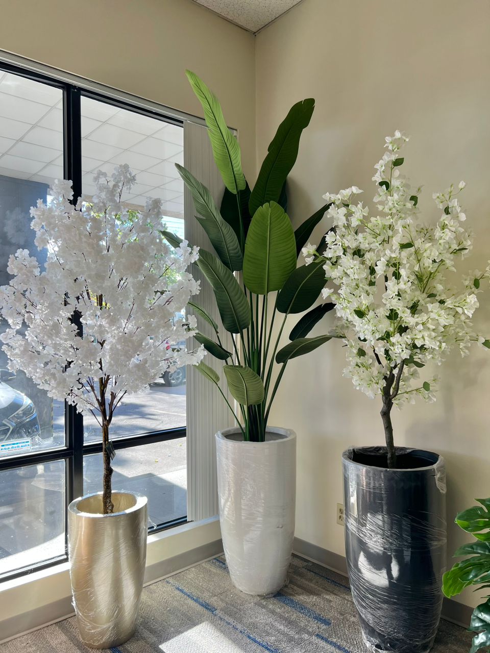 New Year, New Plants: What to Add to Your Home This Year