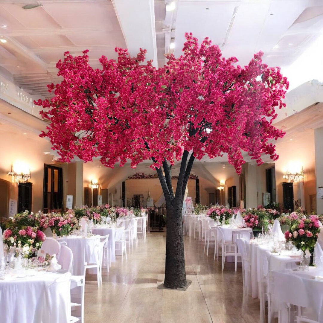 Bring Bold Beauty to Any Space with Our Hot Pink Bougainvillea Trees