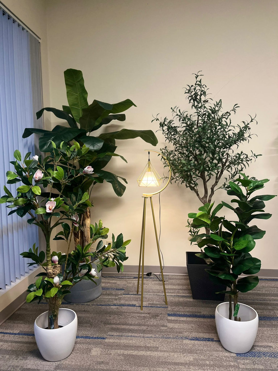 Aesthetic Plant and Planter Combinations for Every Space