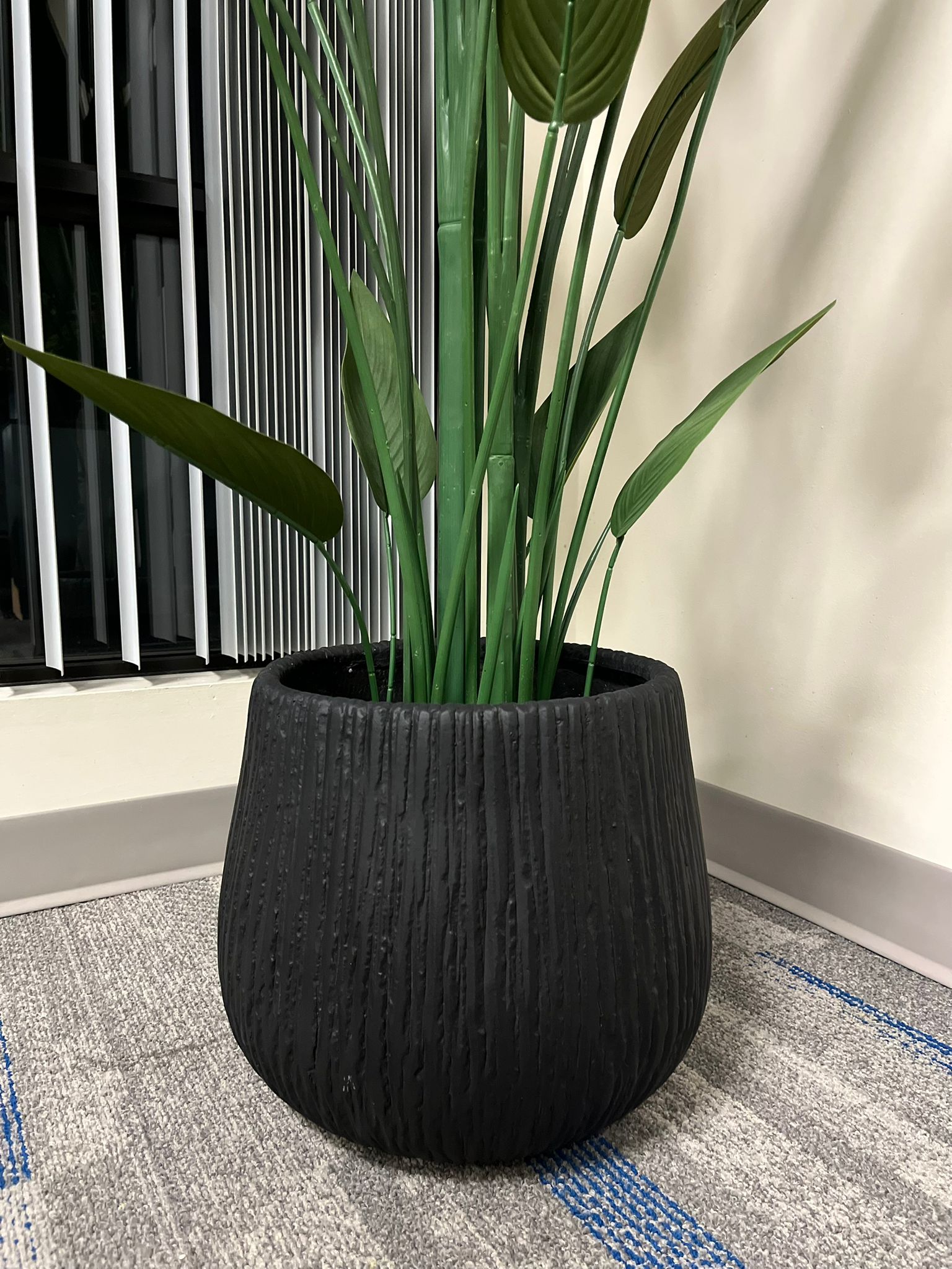 Transform Your Space with Stylish Plant Pots