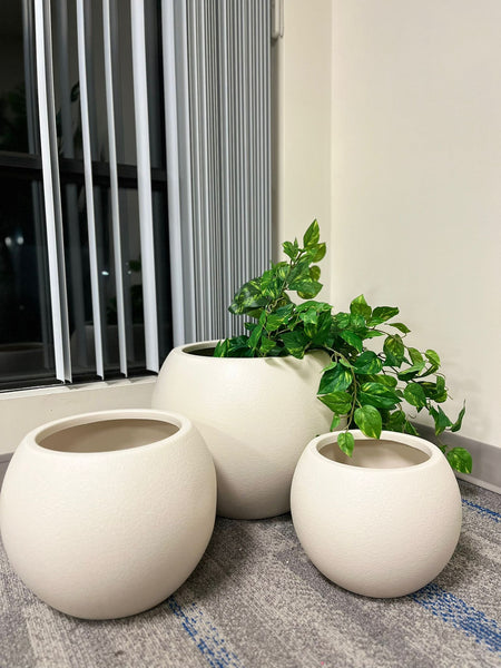 Small Space, Big Style: How to Use Planters to Fill Empty Corners