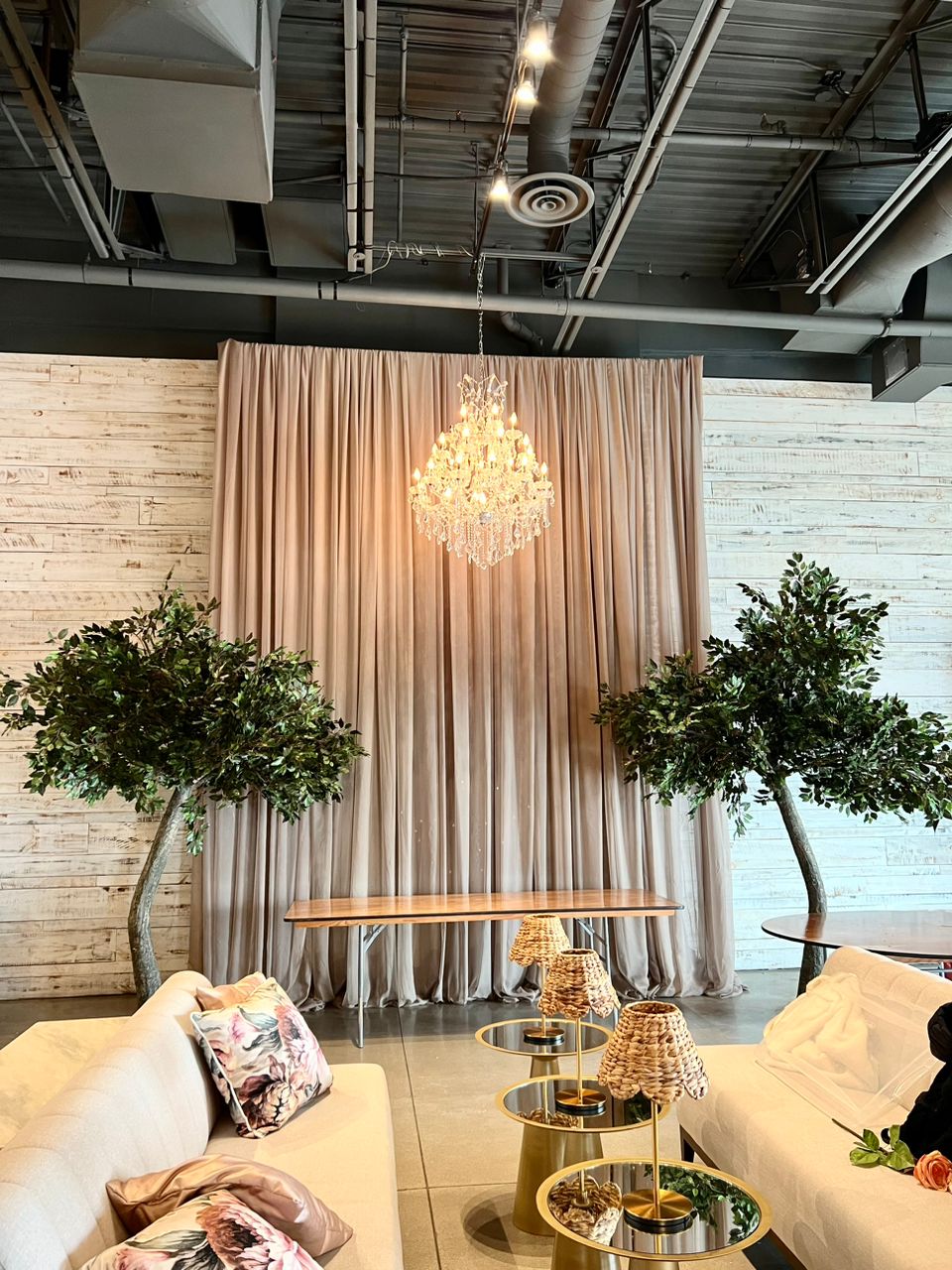 Bringing Nature In: Dreamy Decor Ideas with Rental Trees