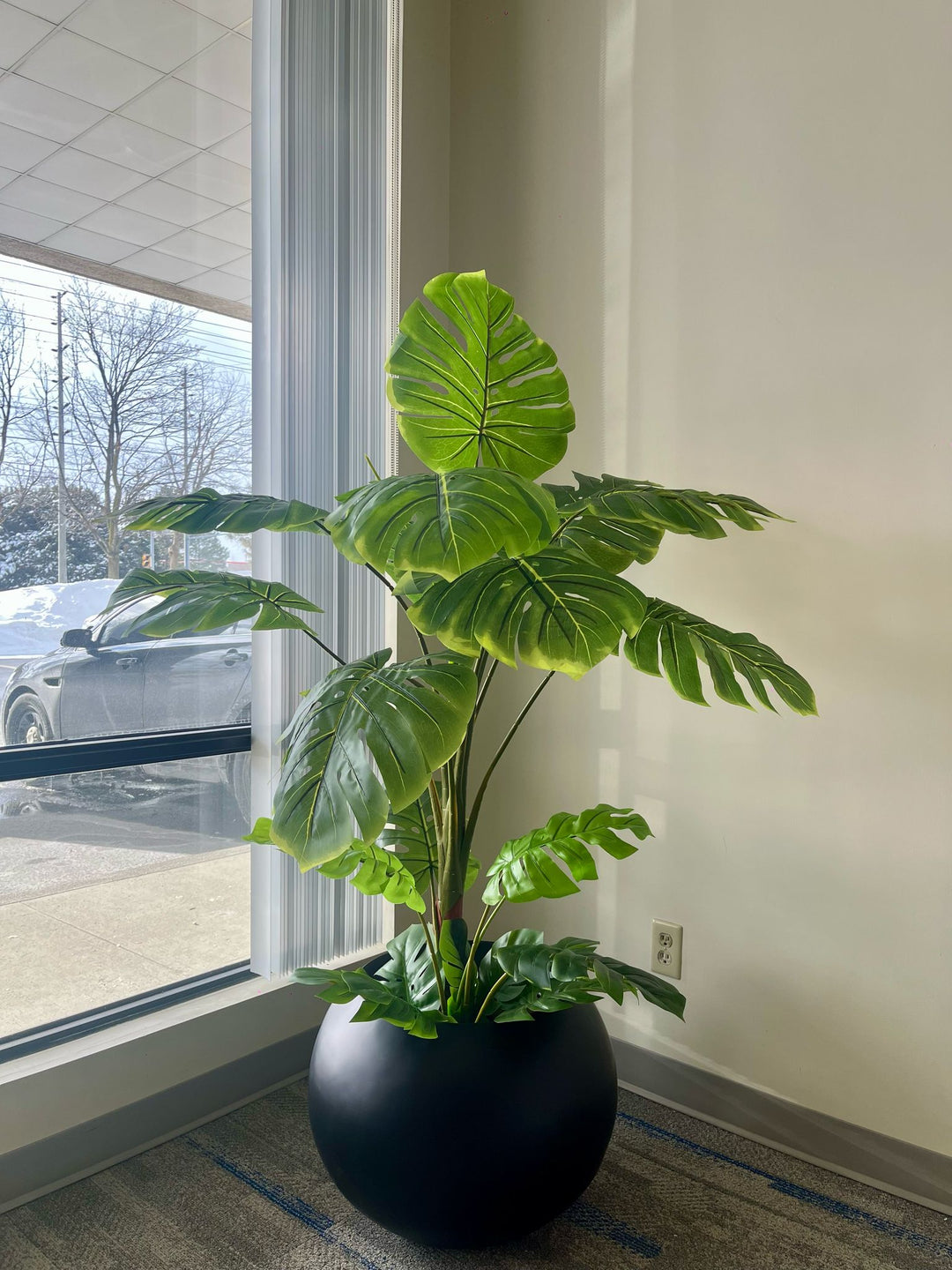 Artificial Monstera Plants for Sale | Tropical Greenery for Modern Interiors