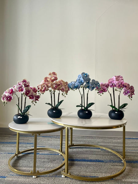 Artificial Orchids in Feng Shui: Bringing Balance and Elegance to Your Home