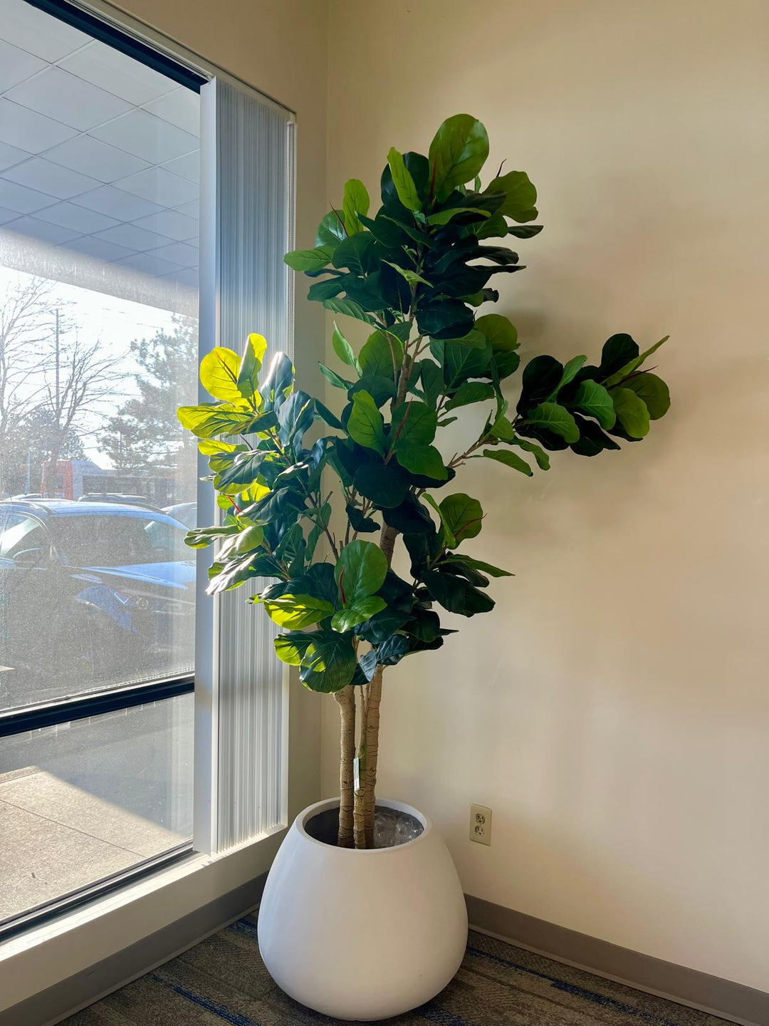 Artificial Fiddle Fig Trees for Sale | Elegant Greenery for Modern Interiors