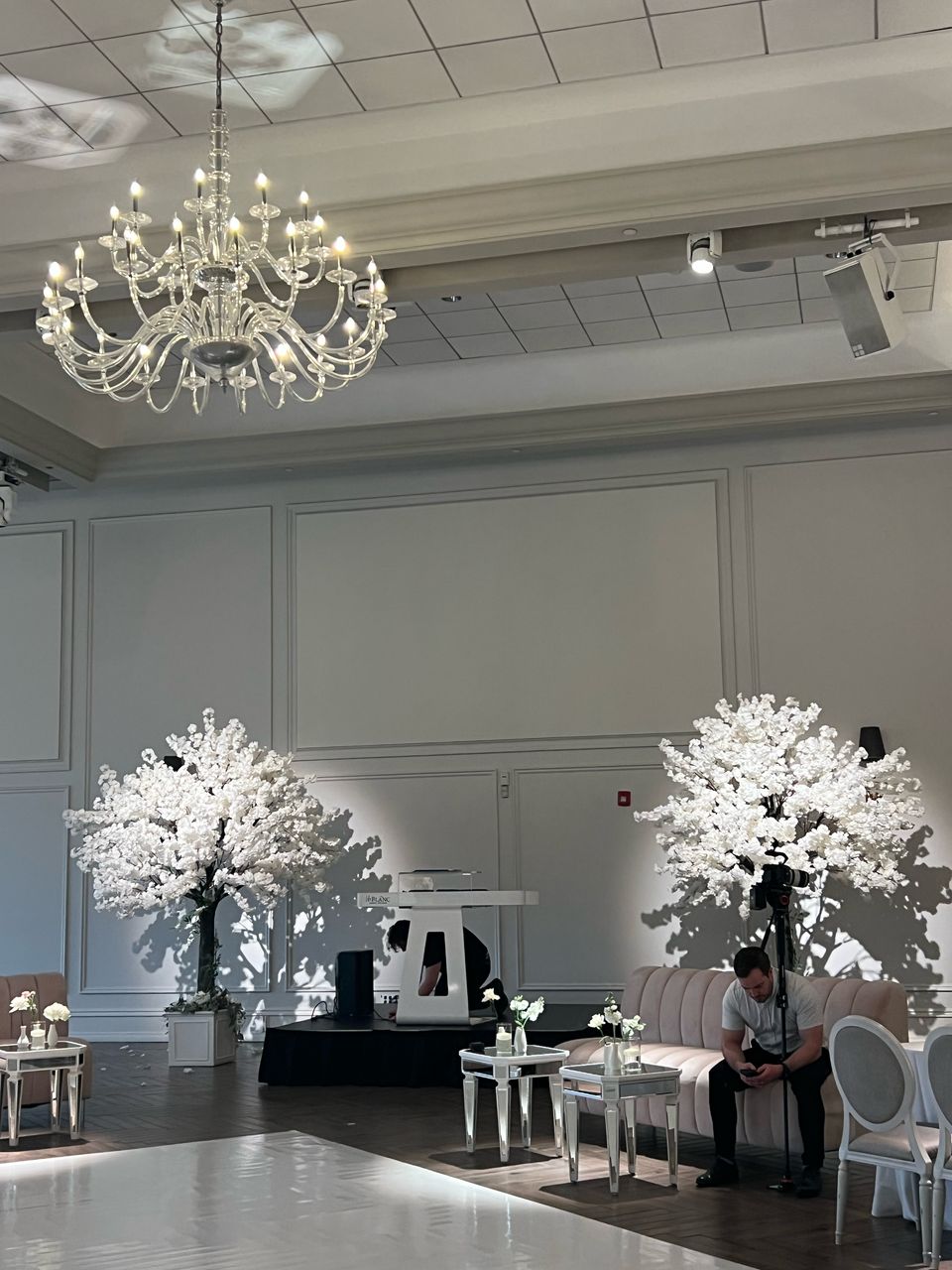 How Tall Trees Enhance Black-Tie Events and Red-Carpet Affairs