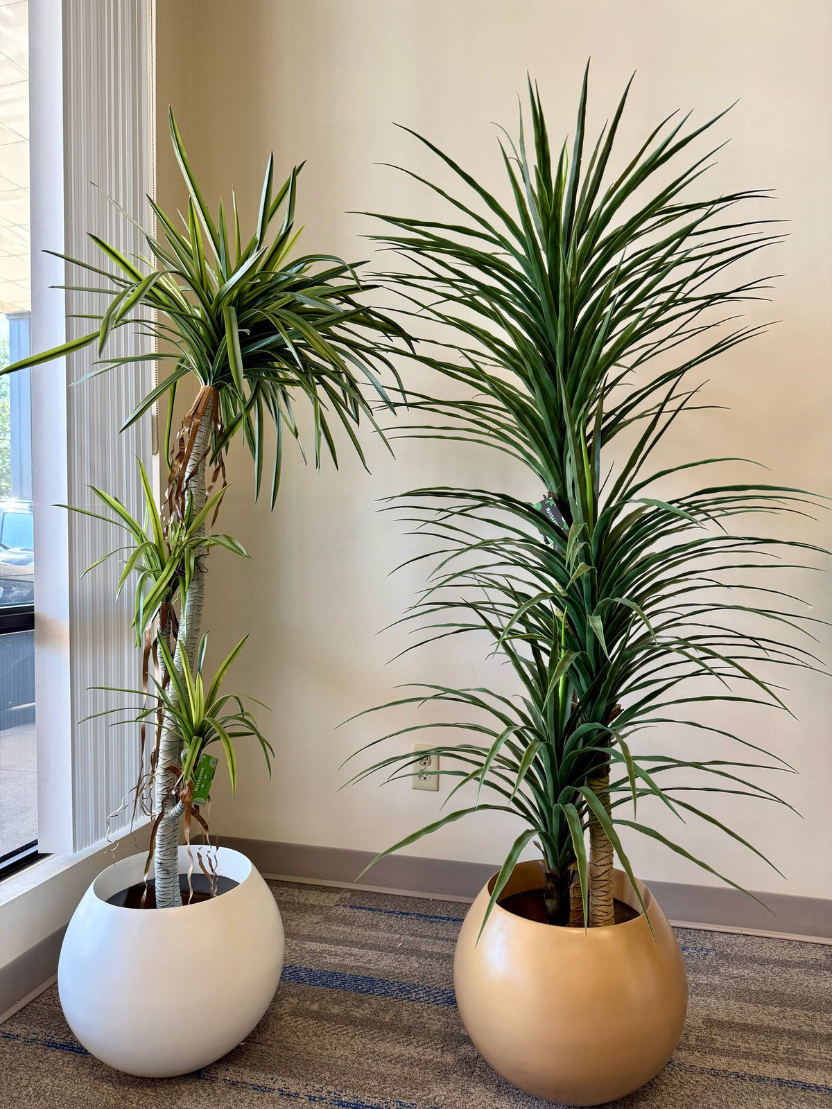 Premium Artificial Yucca Plants for Sale | Modern Indoor Greenery by Waysaving