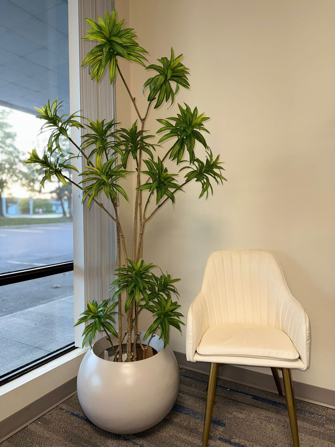 Bring Calm & Class Home with Our Lilly Bamboo Collection