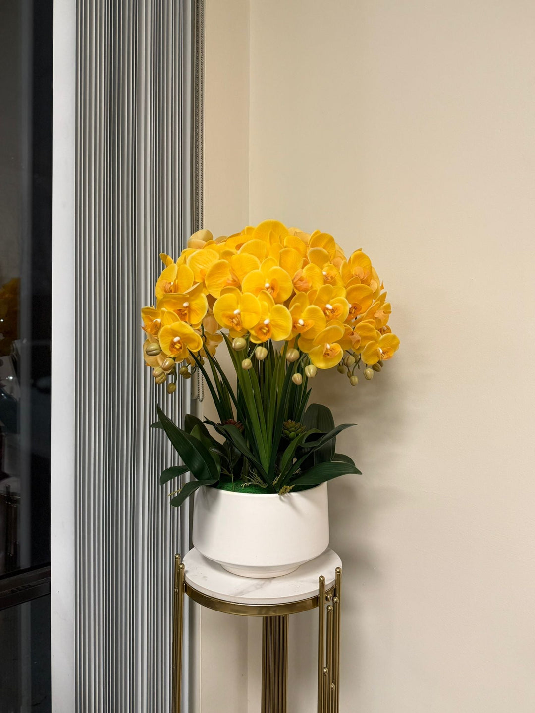 Brighten Any Space with the Timeless Beauty of Yellow Orchids 💛