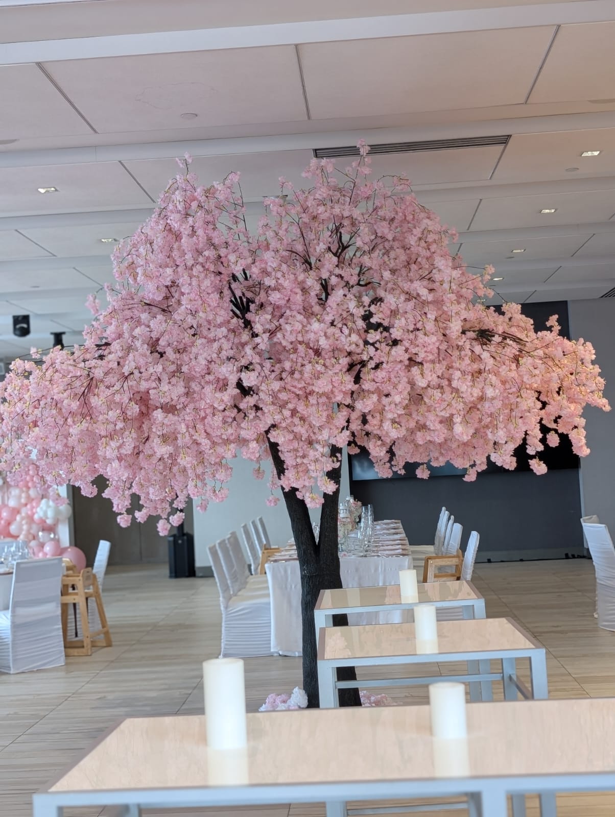 Bring Spring Home: The Timeless Beauty of Pink Cherry Blossom Trees