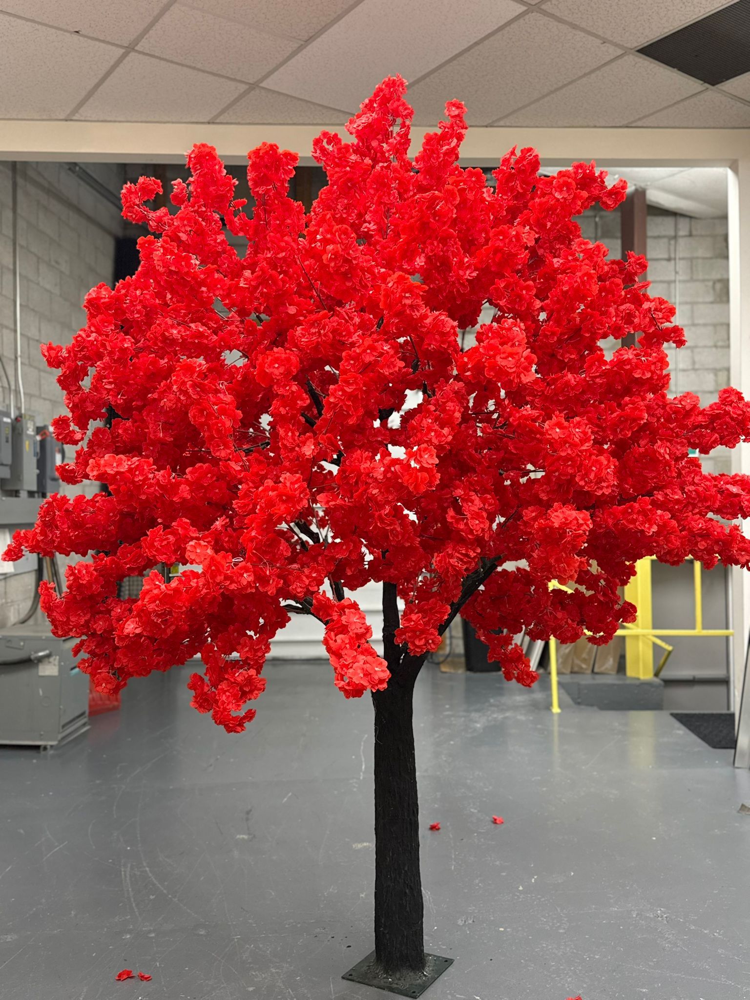 Make a Statement with Red Cherry Blossom Trees