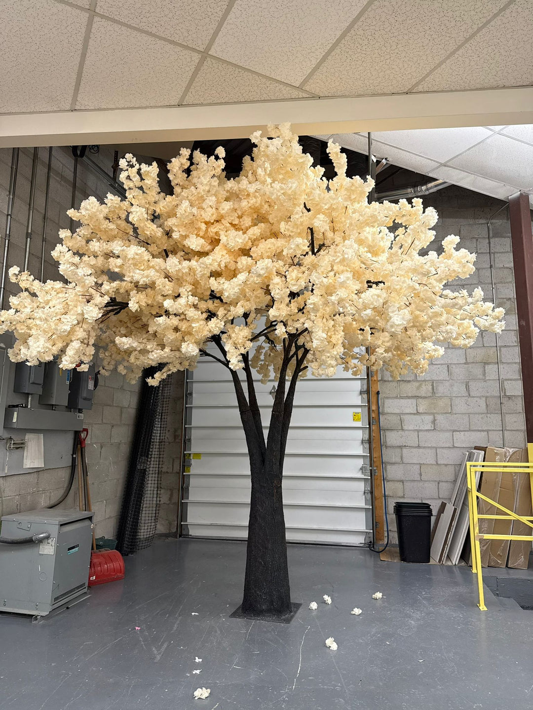 Transform Your Space with the Timeless Elegance of Cherry Blossom Trees