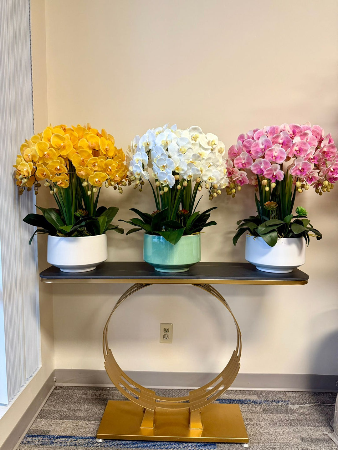 Orchids: The Ultimate Symbol of Elegance for Any Space