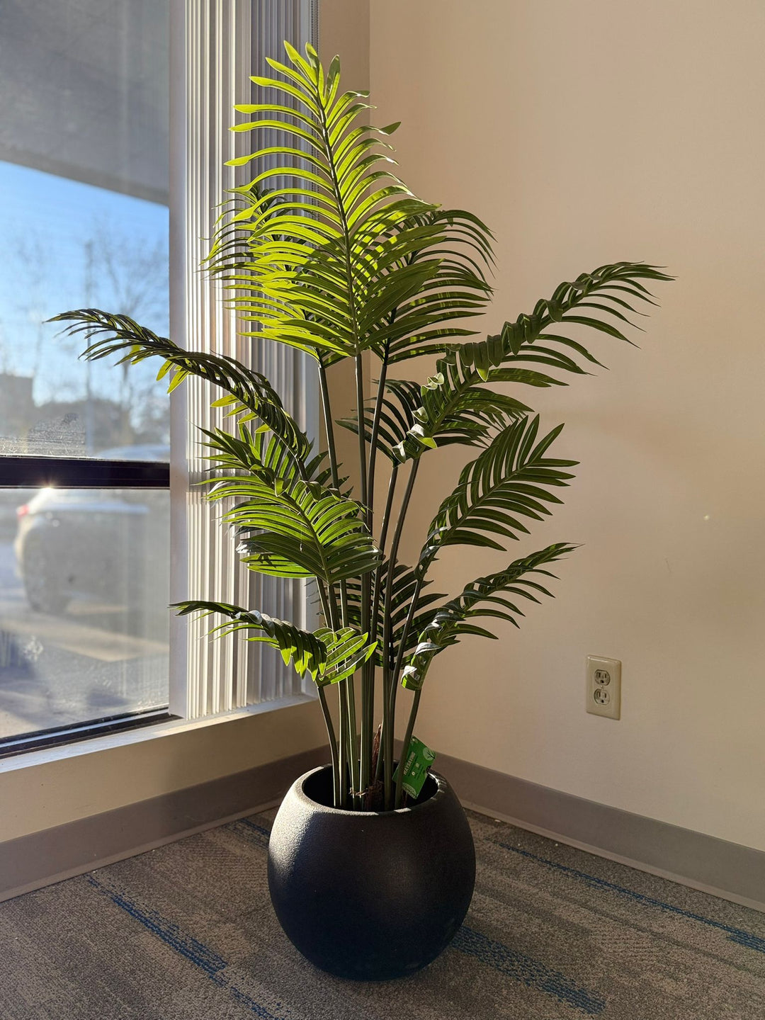 Palm Trees: Effortless Tropical Elegance for Any Space