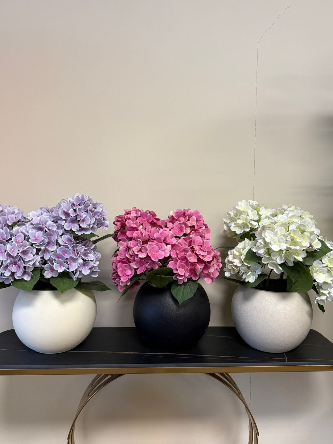 Desk Plants: Small Green Touch, Big Impact on Your Space