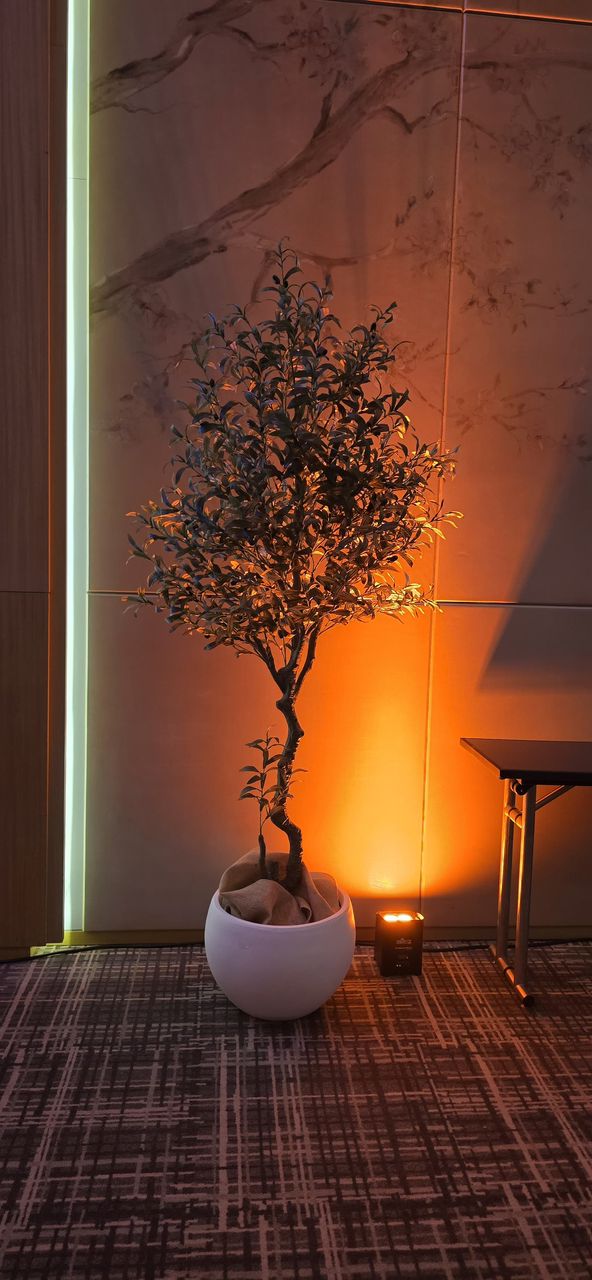 Artificial Olive Tree | Elegant Mediterranean Greenery for Modern Interiors