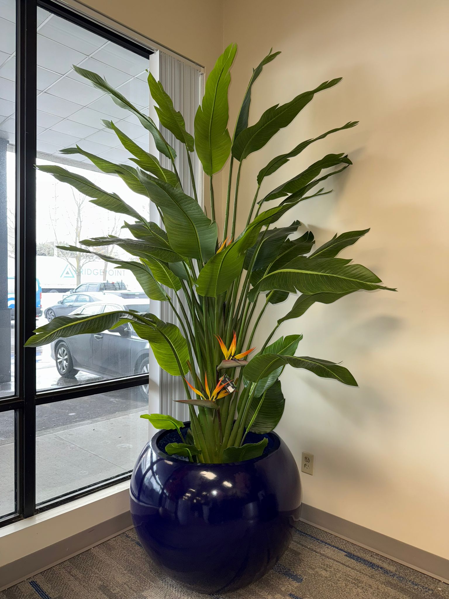Artificial Bird of Paradise Plants – Tropical Elegance for Homes & Commercial Spaces