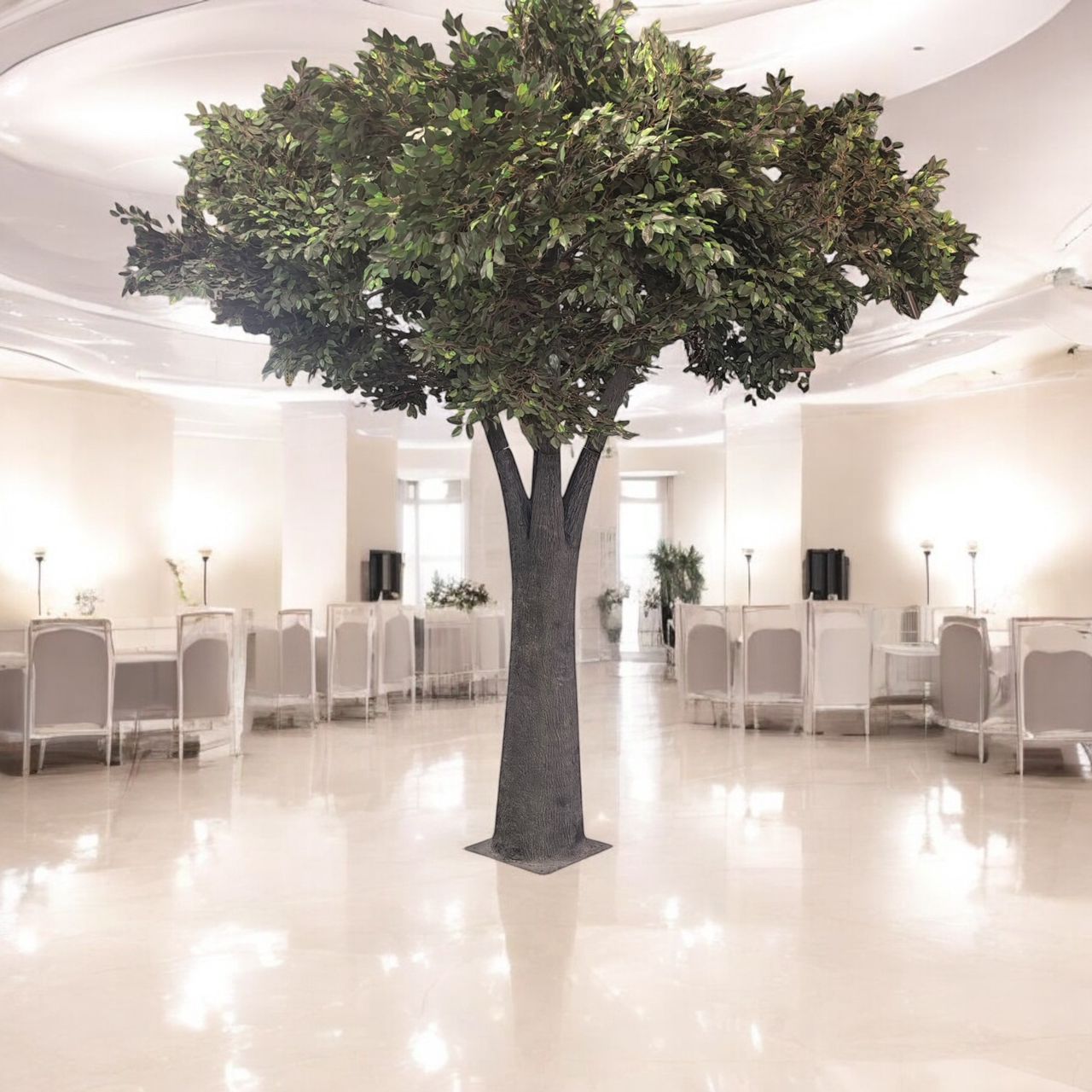 Ficus Tree – Timeless Greenery for Modern Interiors