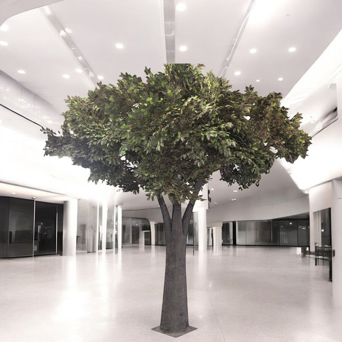 Artificial Ficus Tree | Elegant Greenery for Modern Interiors