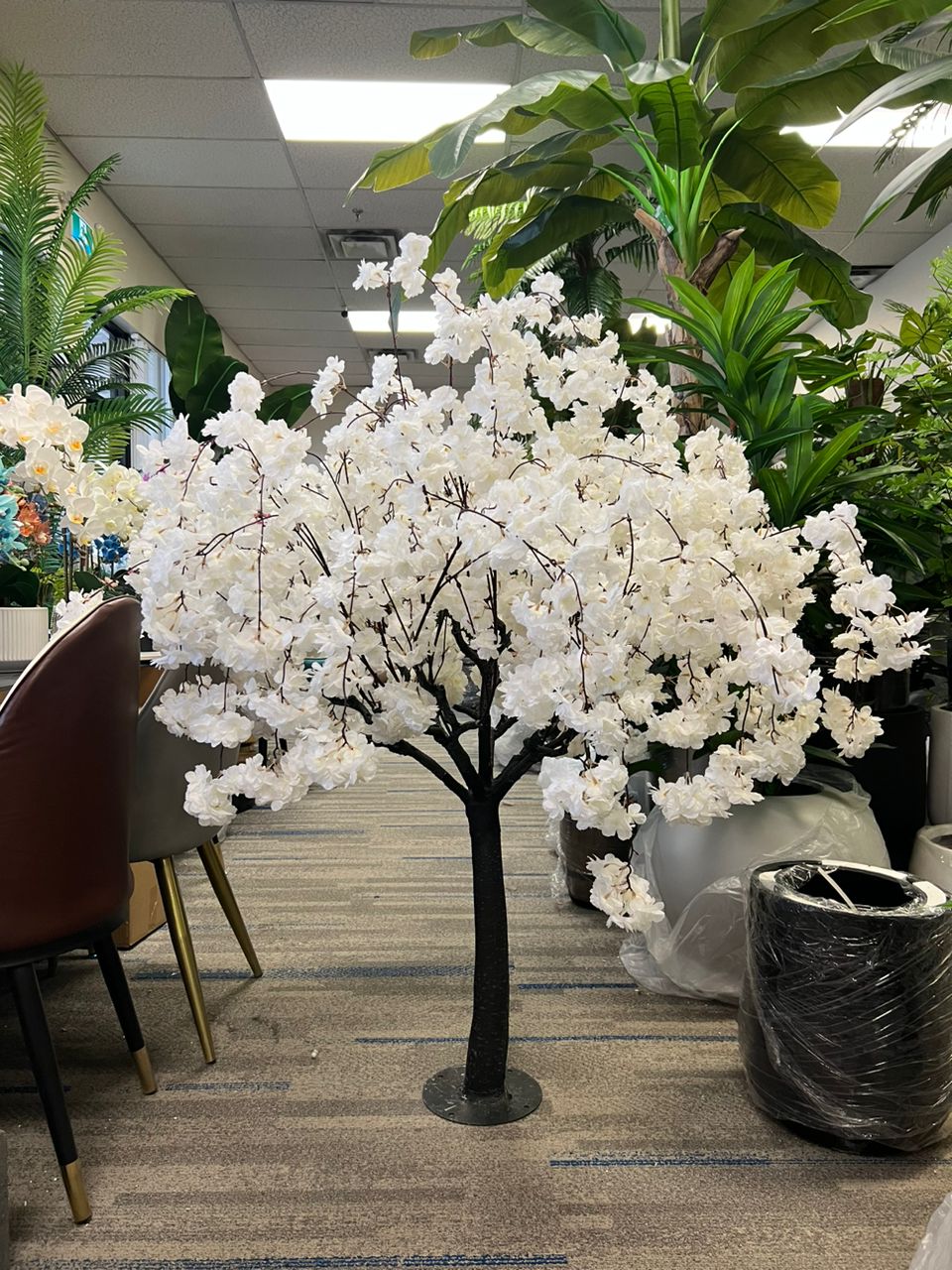 White Weeping Cherry Blossom – Graceful Beauty That Transforms Any Space