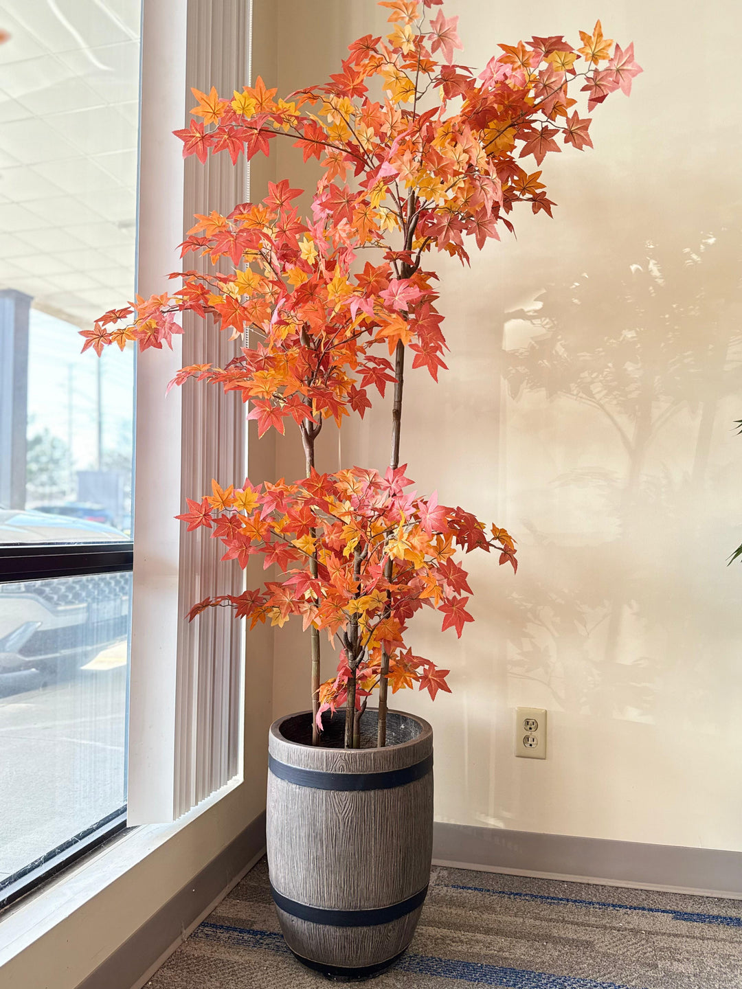 Maple Tree – Timeless Greenery with Natural Charm