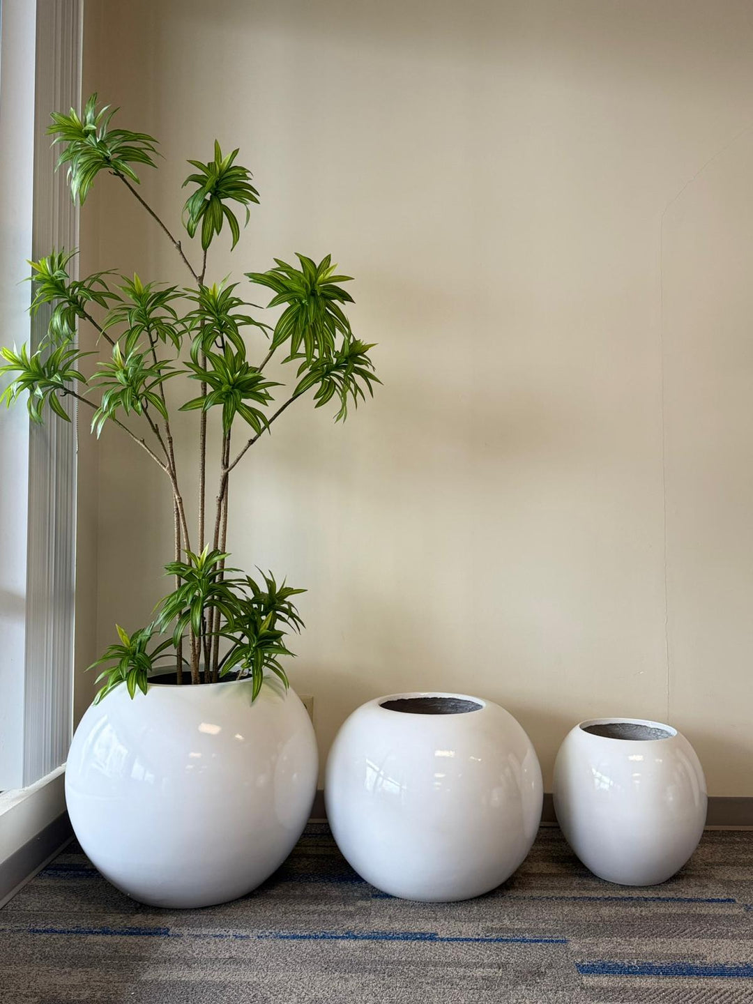 Modern Pots & Planters for Sale | Stylish Decorative Planters by Waysaving