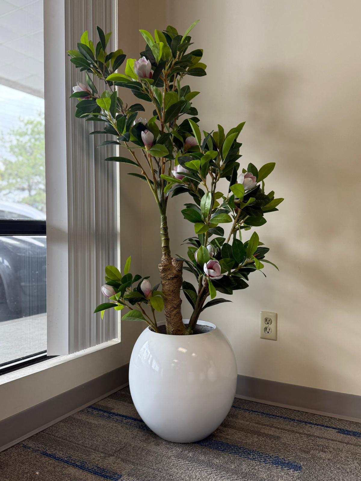 Magnolia Tree – Soft Elegance for Modern Spaces