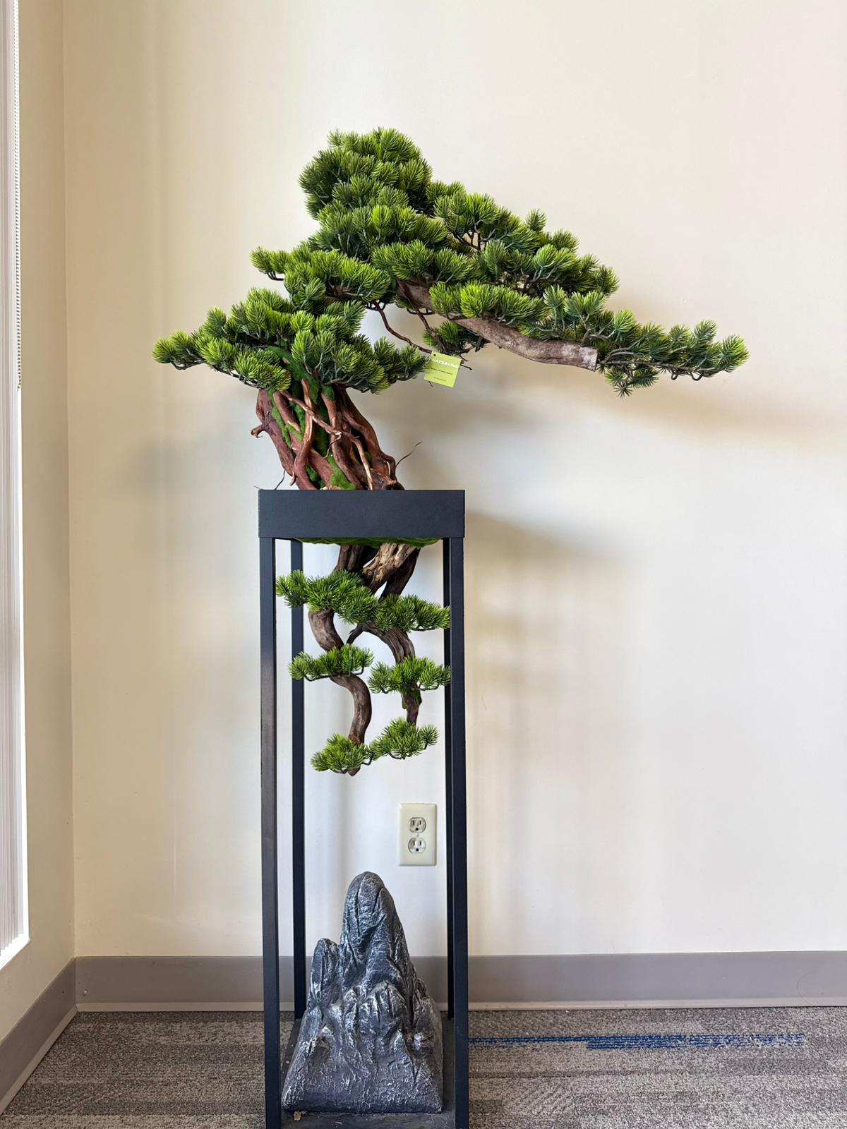 Bonsai Tree – Small Details, Big Impact