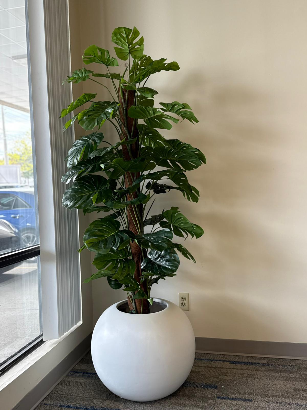 Artificial Monstera Plants: Tropical Greenery for Modern Interiors