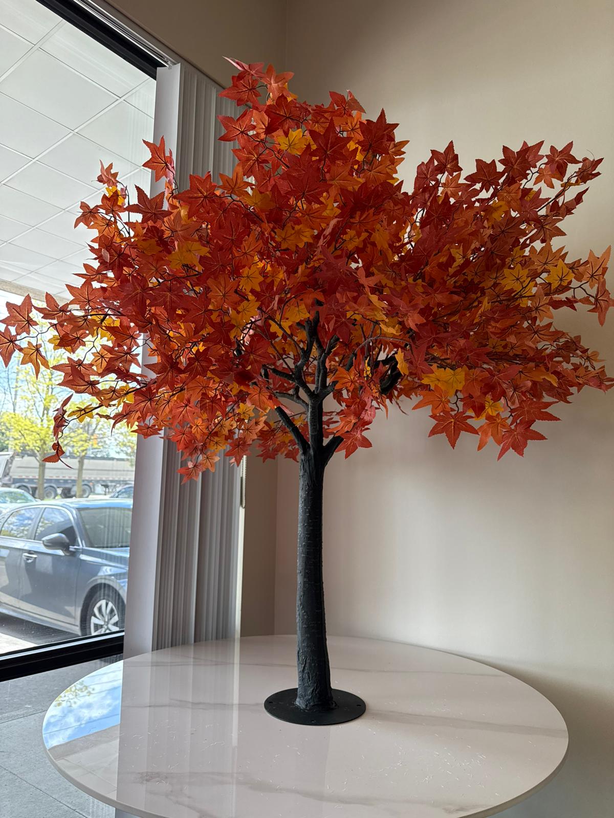 4ft Maple Trees – Small Size, Big Impact for Any Space