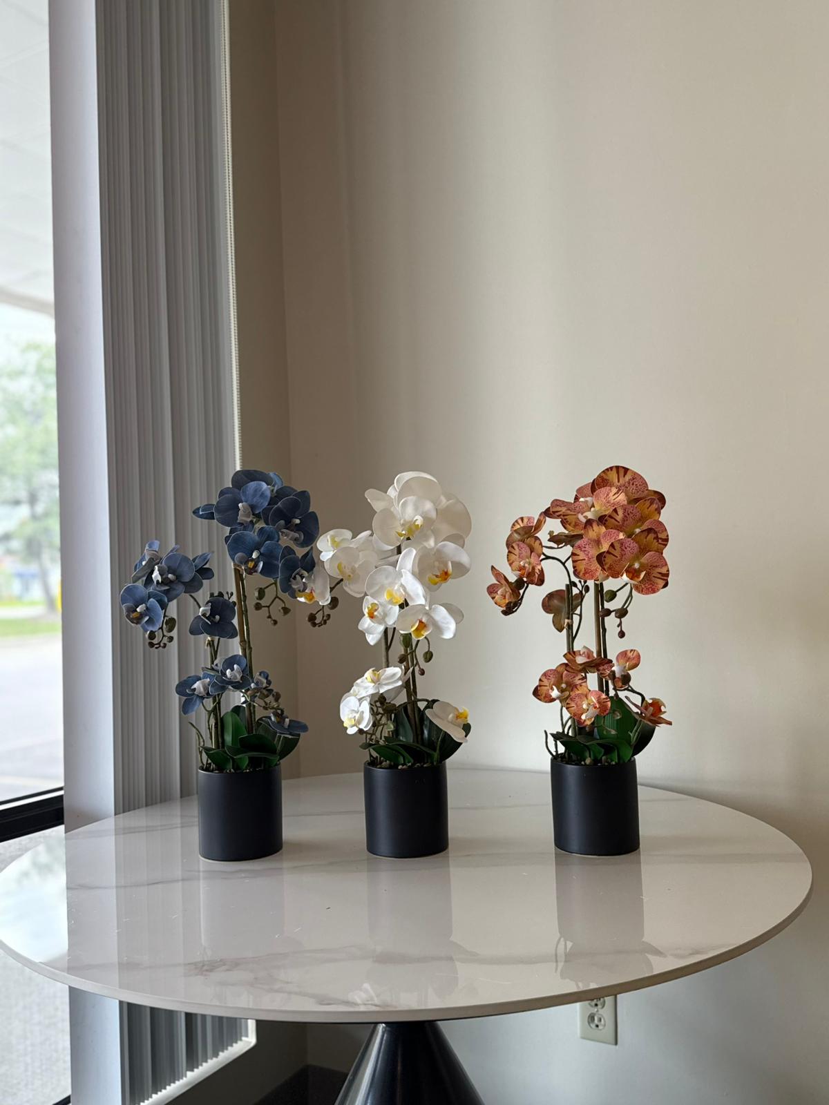 Artificial Orchids – Timeless Floral Beauty for Every Space