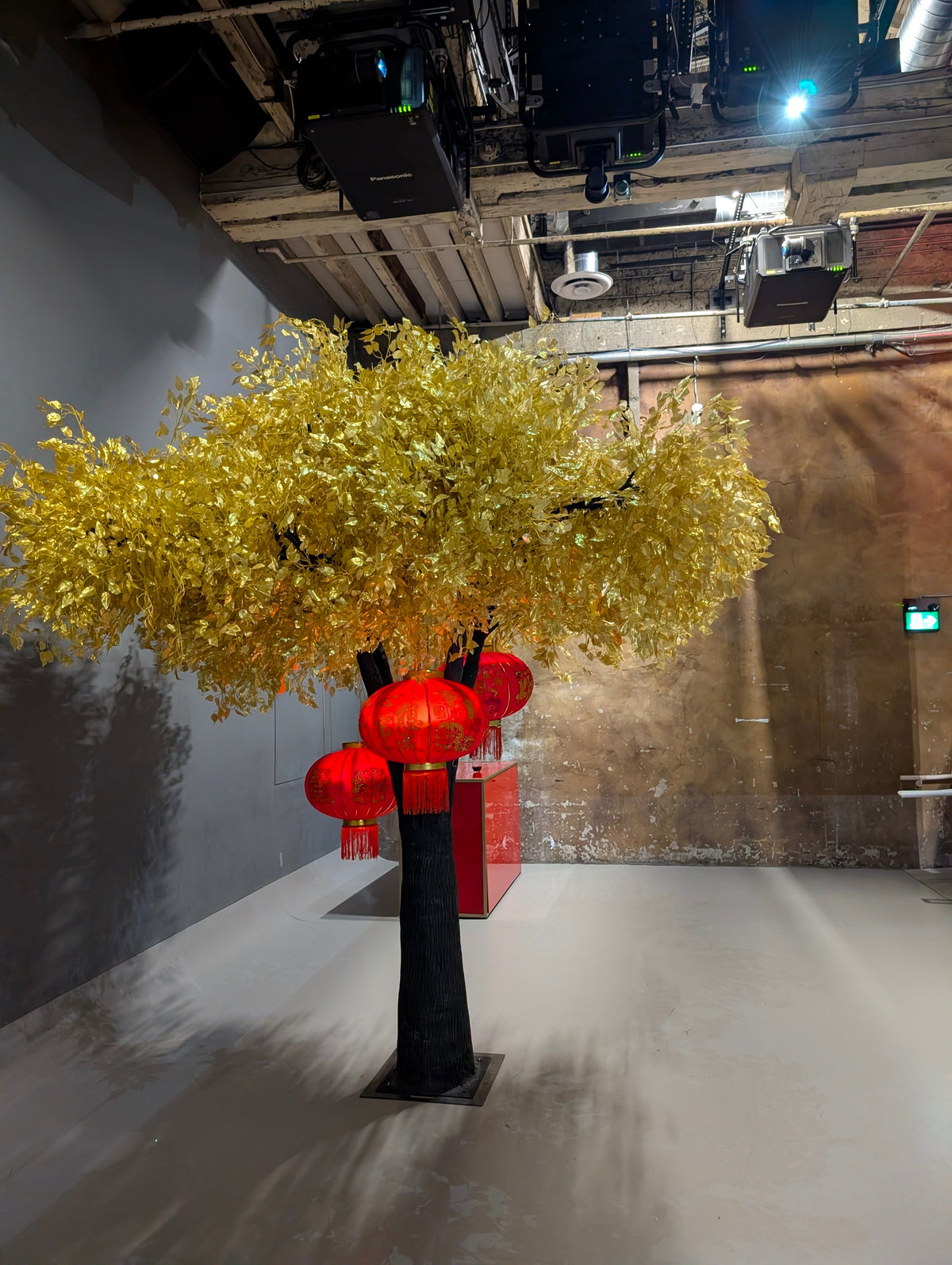 Gold Ficus Trees – Luxury Artificial Trees Available for Rental & Purchase