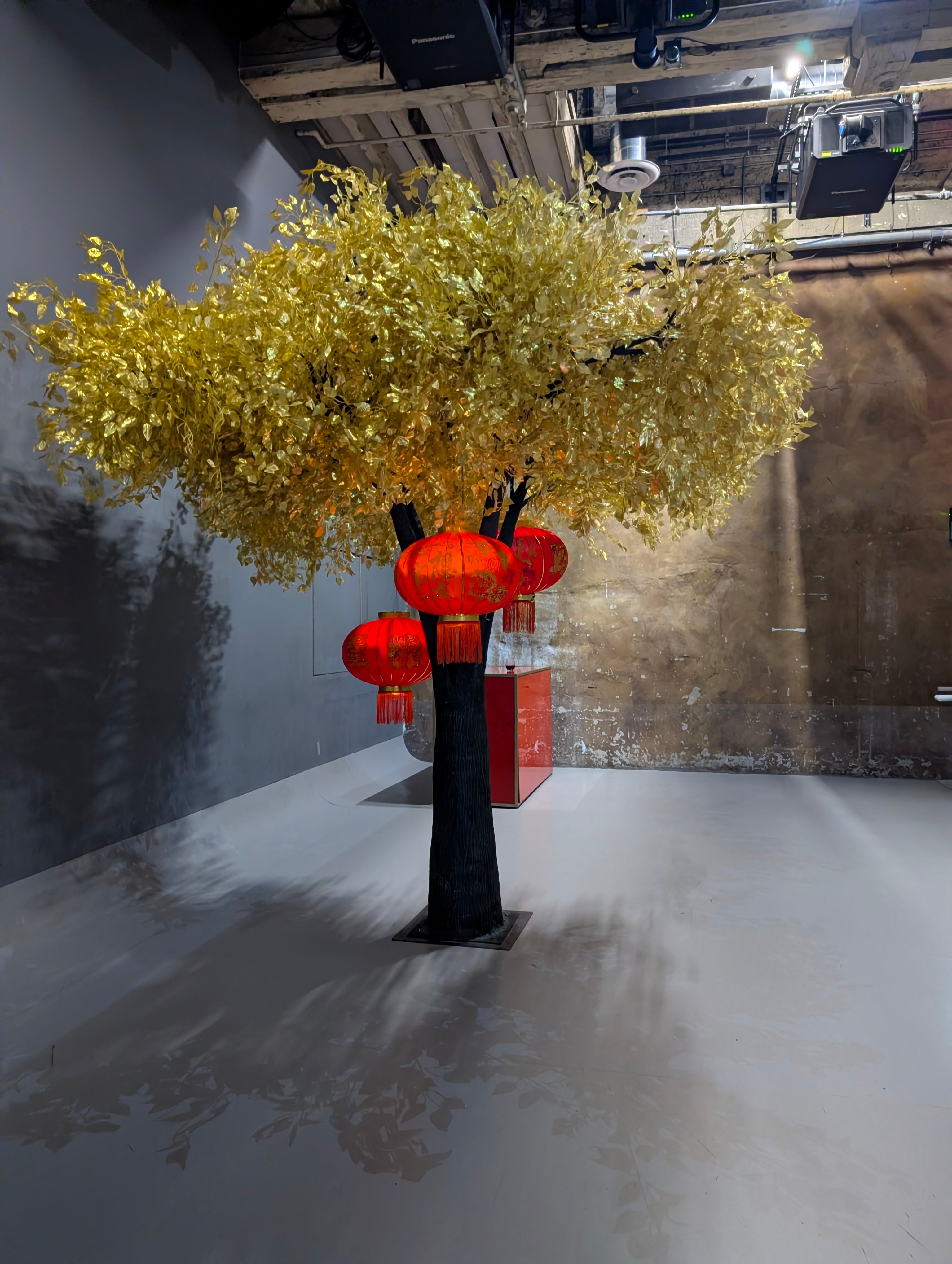 Artificial Ficus Trees for Rent & Purchase | Timeless Greenery for Every Space