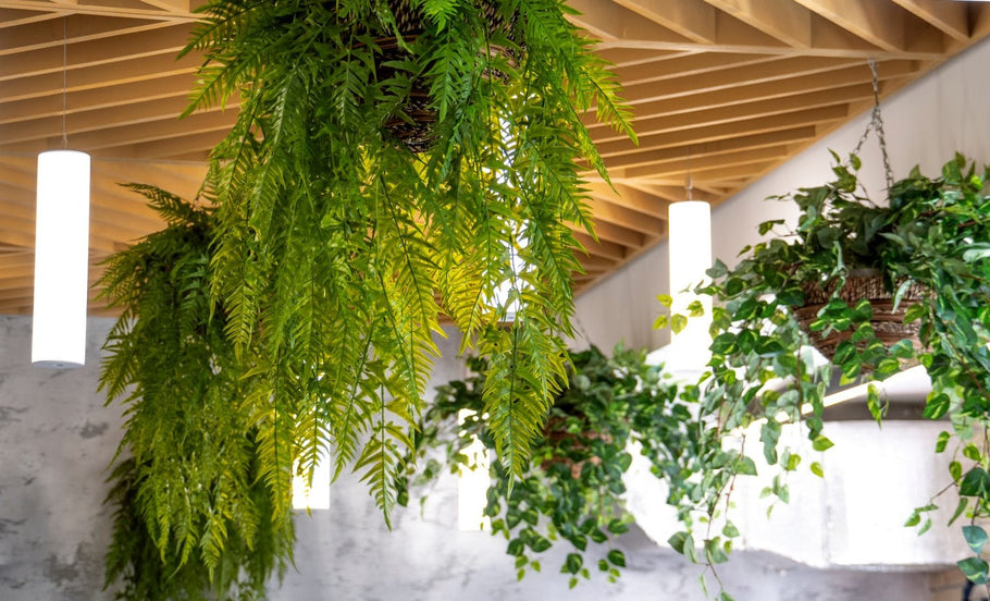 The Role of Artificial Plants in Biophilic Design