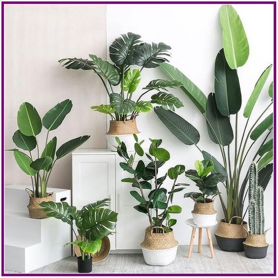 2024's Best Artificial Plants, Trees, and Flowers for a Realistic Home Decor