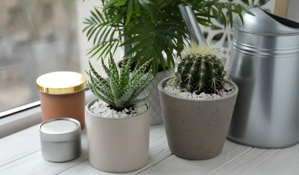 Top Artificial Plants to Refresh Your Home This Summer