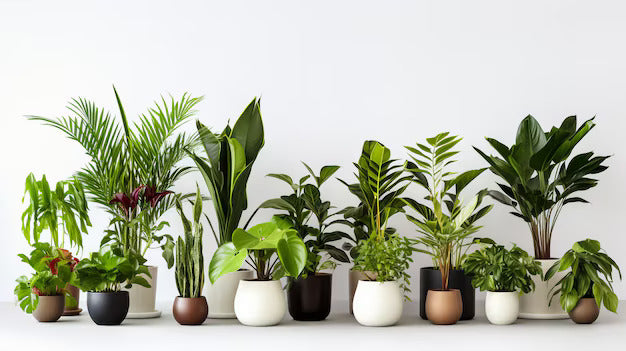 The Premium Fake Plants That You Will Love in 2024 – WAYSAVING