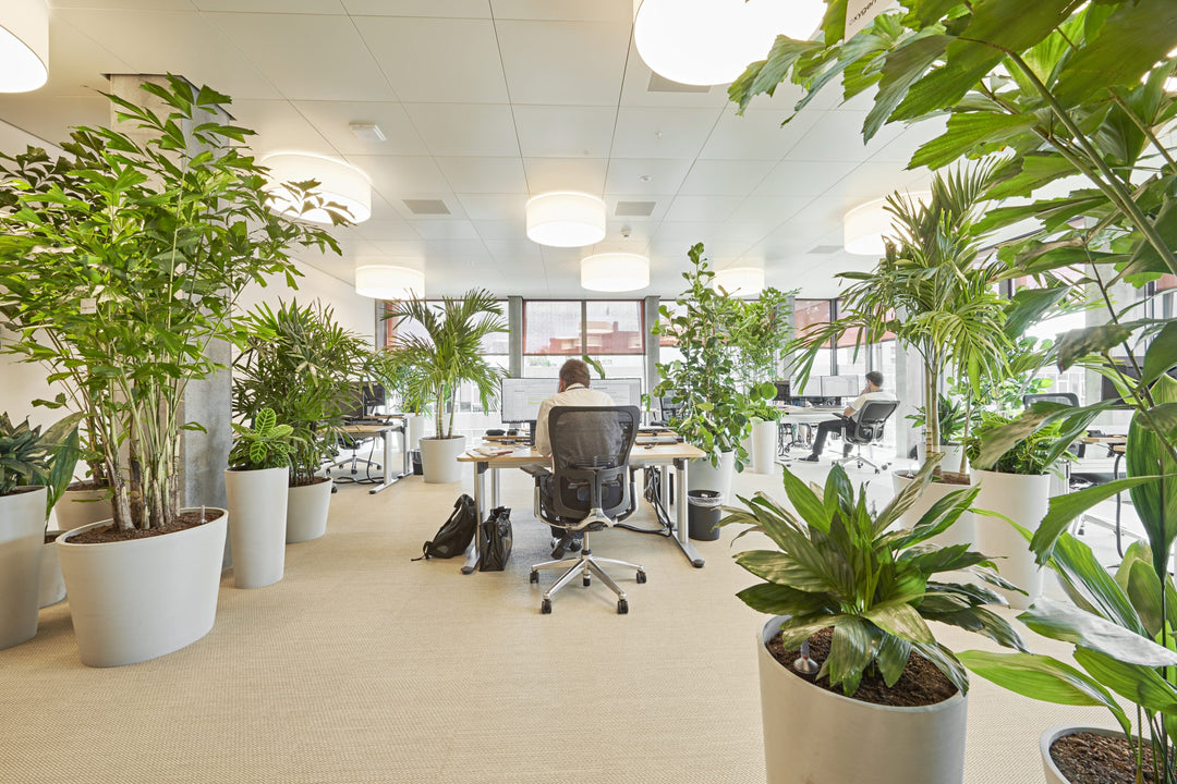Boost Productivity with Faux Plants in Your Texas Office