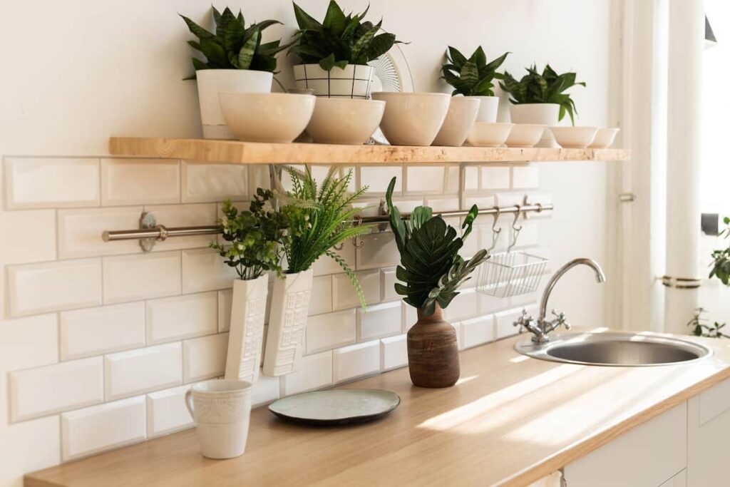 How to Select the Best Faux Plants for Your Home and Kitchen