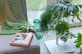 The Impact of Artificial Plants on Mental Health and Wellbeing