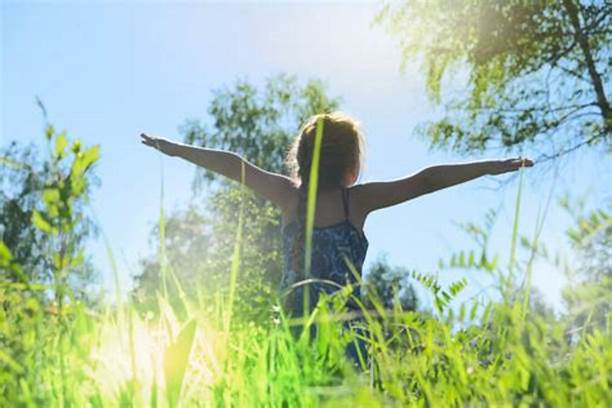 Artificial Plants for Allergies: A Breath of Fresh Air