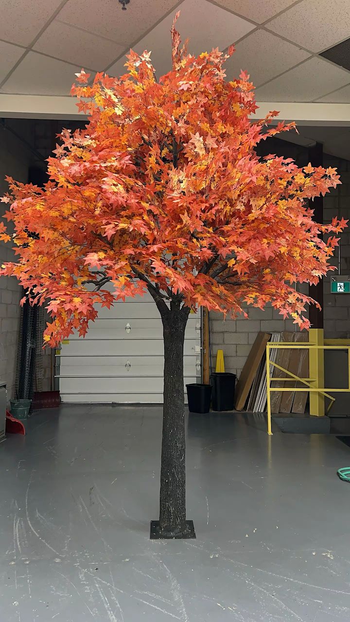 Event Styling with Maple Tall Trees: From Weddings to Corporate Parties